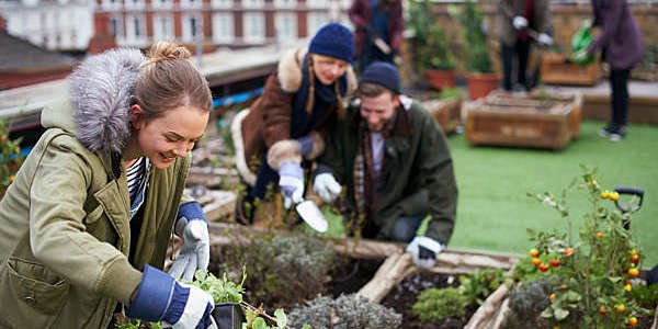 Young people cultivate gardening on the roof of the city